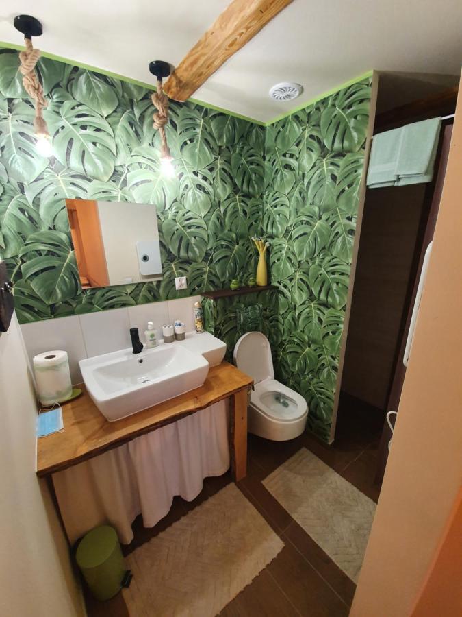 Vila Siedlisko Odpoczynkowo Nowosiolki  Exteriér fotografie