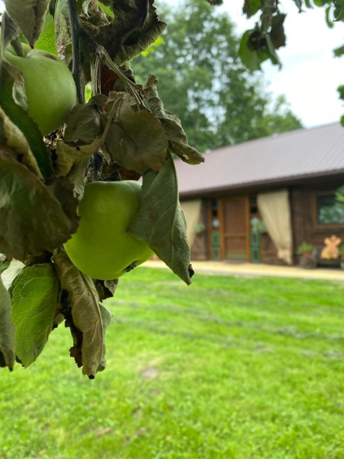 Vila Siedlisko Odpoczynkowo Nowosiolki  Exteriér fotografie