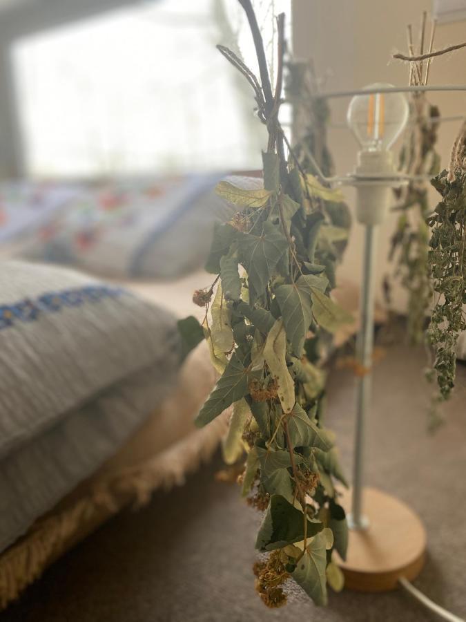 Vila Siedlisko Odpoczynkowo Nowosiolki  Exteriér fotografie